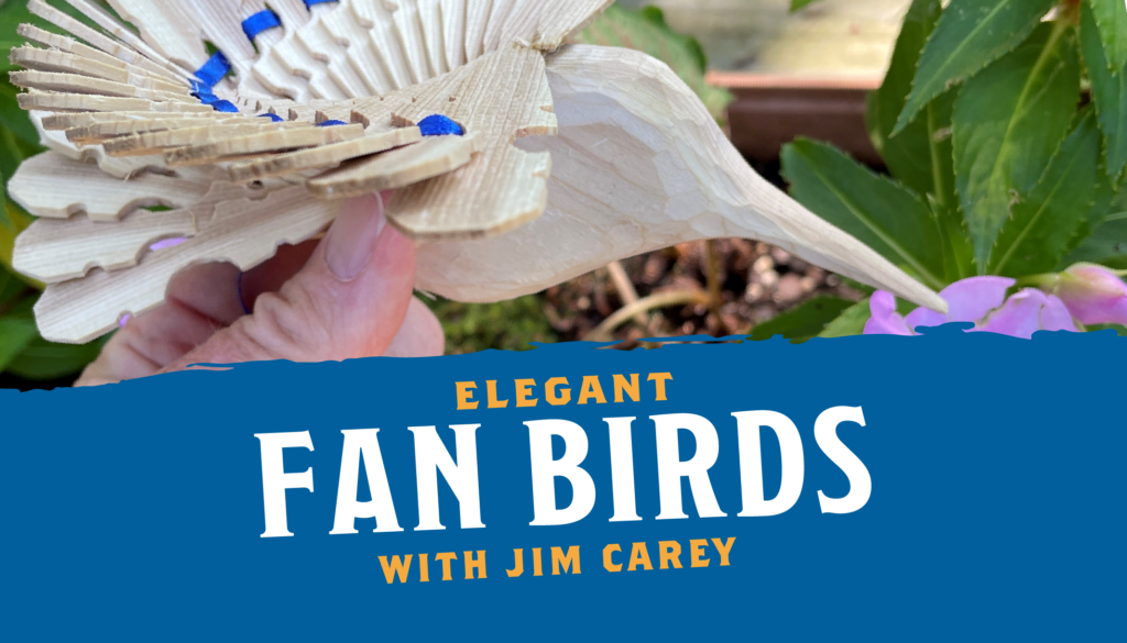 Carve a Fan Bird with Jim Carey