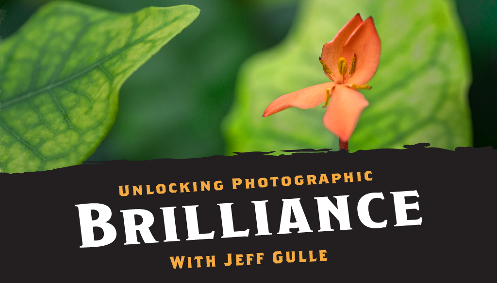 Unlocking Photographic Brilliance with Jeff Gulle