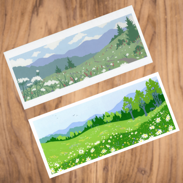 Assorted Meadows Note Cards, Pack of 6