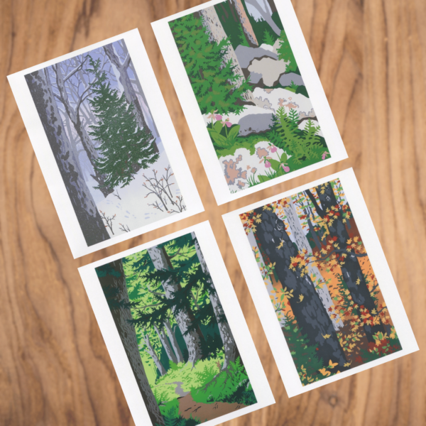 Assorted Seasons Note Cards, Pack of 8