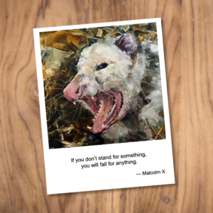 Four Pack of Cards - Possums - Image 2