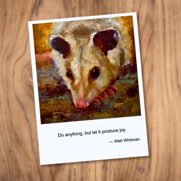 Four Pack of Cards - Possums