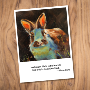 Four Pack of Cards - Rabbits - Image 2