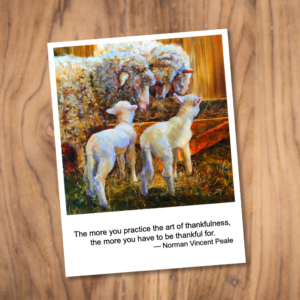 Four Pack of Cards - Sheep - Image 2